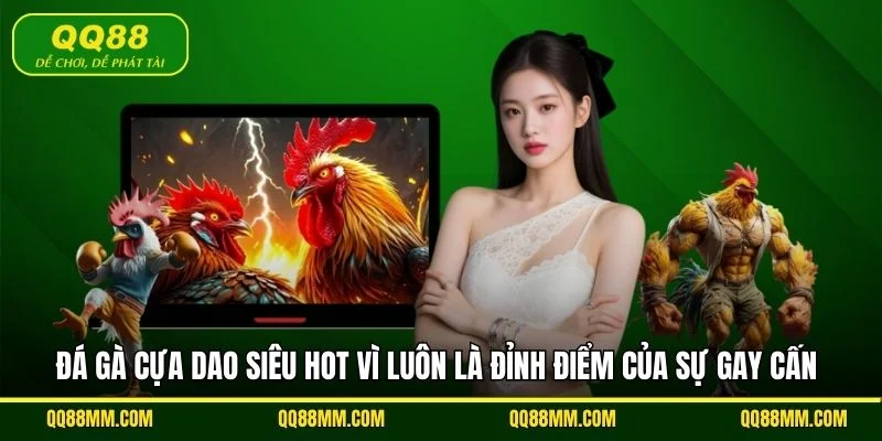 Đá gà cựa dao siêu hot vì luôn là đỉnh điểm của sự gay cấn