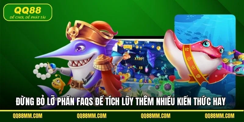 Đừng bỏ lỡ phần FAQs để tích lũy thêm nhiều kiến thức hay