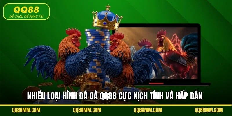 Nhiều loại hình đá gà QQ88 cực kịch tính và hấp dẫn
