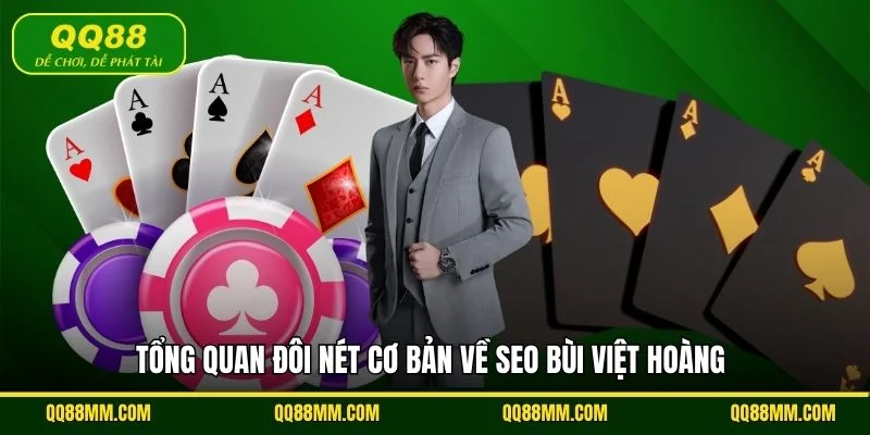 Tổng quan đôi nét cơ bản về SEO Bùi Việt Hoàng